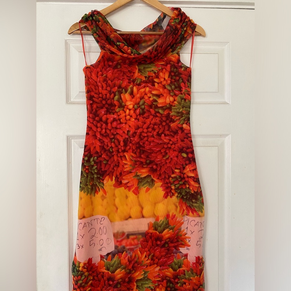 Zara Chili Pepper Dress 🌶️